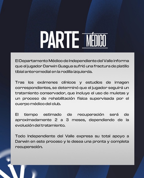 IDV informe Darwin Guagua